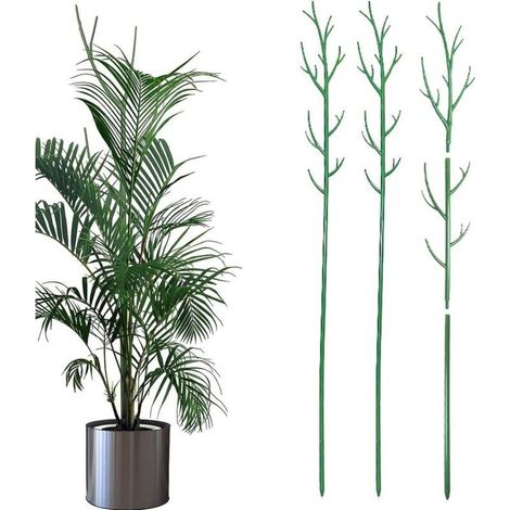 Lot de 3 Tuteur Supports pour Plantes Grimpantes et Fleurs Vert Aidez Vos Plantes à Pousser, Hauteur 100cm, Tuteurs Tomates Jardin, Pieux à Hortensias, Pivoines, vivaces et Plus (1/5)