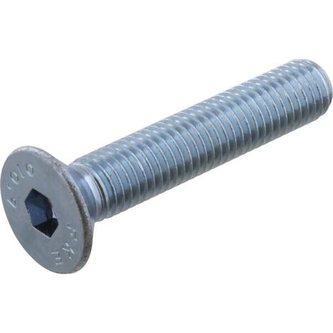 Vite M12X1,75X65 10,9 GASPARDO F01030118R