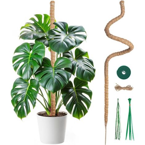 Tuteur Plante Grimpante Coco sur Piquet de Plante 120cm, Support Tuteur de Coco Largeur de 7mm Pliable Poteau de Croissance de Grimpantes (1/5)