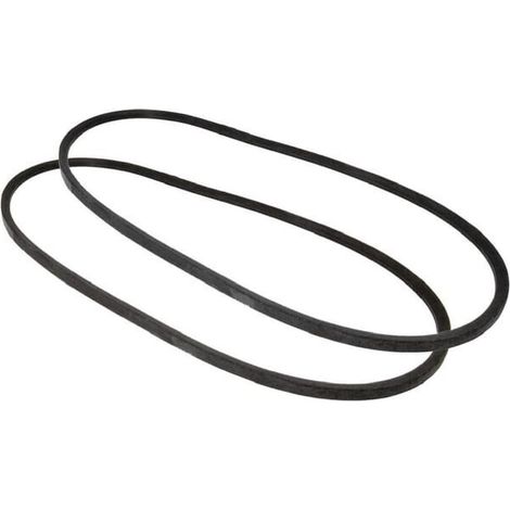 Correa de ventilador VAPORMATIC VPE6053