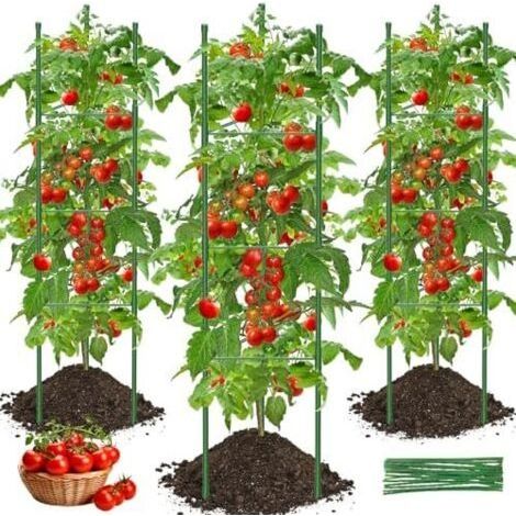 Tuteur Tomate, 3pcs Cage à Tomates Support 130cm Treillis Plante Grimpante Exterieur Obélisque pour Jardin, Piquets de Plantes Frimpantes, Légumes et Fleurs - (1/5)
