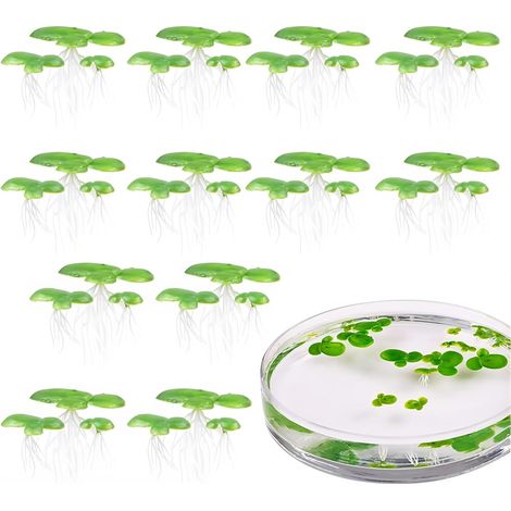 36 Lentilles d'Eau Artificielles pour Aquarium et Bassin - 2 Packs de Plantes Flottantes Réalistes (S, M, L) - Décoration pour Étang, Aquarium d'Eau Douce et Déco de Jardin (1/5)