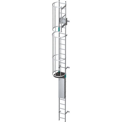 Scala a gabbia con porta - Altezza raggiungibile da 2.34 a 3.18m - CRINO-SL/001-7872