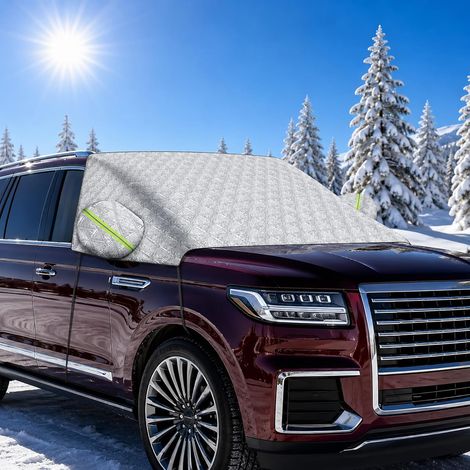 Windscreen Frost Protection 148 x 245 cm (1/5)