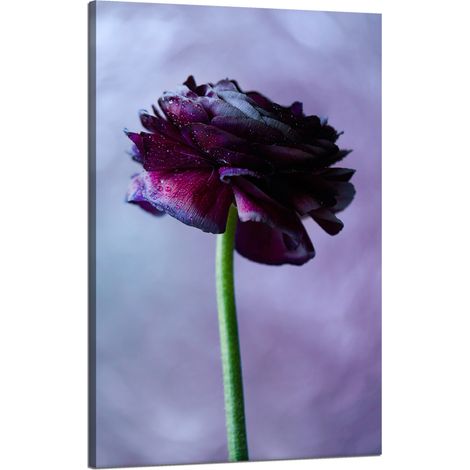 Stampa su tela Botanica Fiore viola 50x80 cm