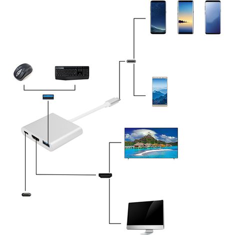 Adaptateur USB-C vers HDMI 3 en 1 Portable avec Coque en Aluminium (Gris Argenté) (1/5)