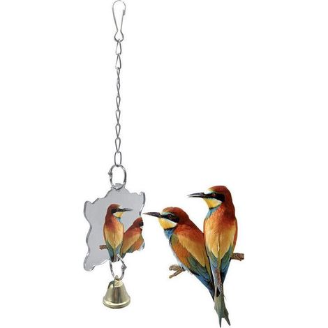 Jouet à chaîne pour oiseaux, perchoir pour perroquet, jouet à mâcher, miroir grand modèle pour perroquet, griffe pour cage, perchoir à ronger, miroir pour perruche, accessoire pour cacatoès. (1/5)