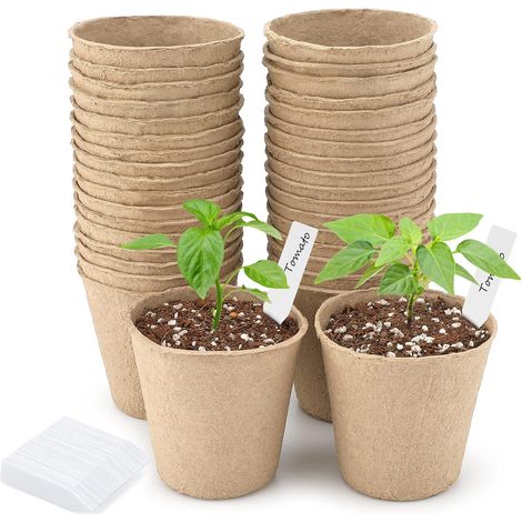 50 Pièces 8CM Pot de Culture Biodegradable pour Semis, Peti Pot pour Plantation, Godets de Rempotage Degradable, avec 100 10x2 cm Etiquette Plante - pour Jardin, Potager, Serre (1/5)