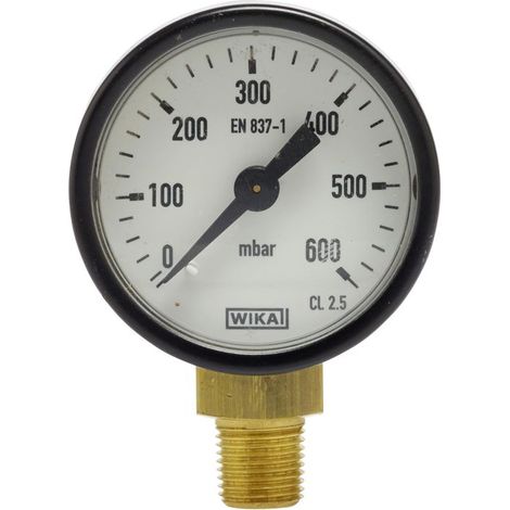 Manomètre 0-600 mbar – Raccord vertical mâle 10x100 – Pour applications industrielles – Précision de mesure élevée (1/2)