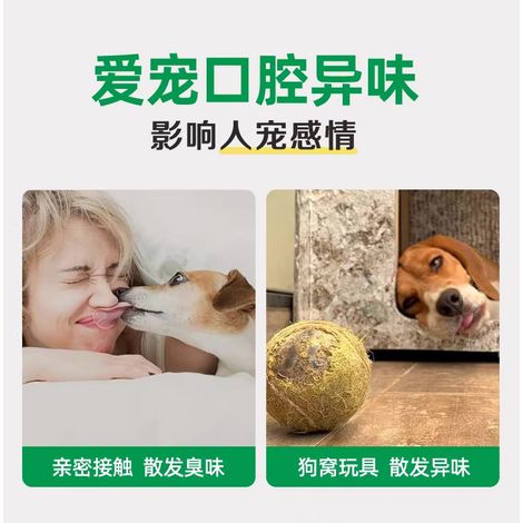 Spray rafraîchissant pour l'haleine à la menthe pour chats et chiens - 100 ml (Spray d'hygiène buccale et désodorisant pour chiens) (1/4)