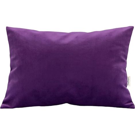 Taies d'oreiller en velours Cterwk avec fermeture éclair, housses d'oreiller de luxe ultra douces pour canapé et lit (1/5)