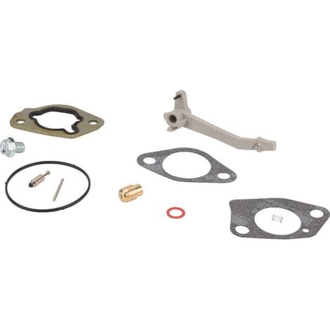 Kit carburatore BRIGGS ET STRATTON 590453