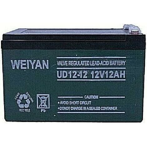Ermetical Batteria Ud12-12 12v12ah Group Continution Youth