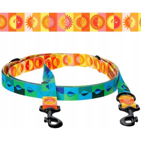 Correa multifuncional de 500 cm para perros de hasta 20 kg. Diseño colorido de Ukory. (1/5)