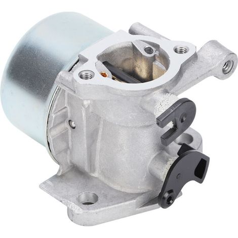 Remplacement du carburateur de jardin pour 790845 799871 799866 796707 794304 (1/3)