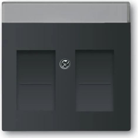 Piastra di copertura Busch-Jaeger 4011395127346 plastica 11x11 cm