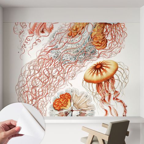 Carta da parati autoadesiva - Fotomurale adesivo - design elegante - stile moderno - Meduse fantastiche 152x104 cm (1/5)