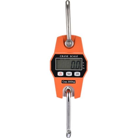 Peson électronique 300kg – Balance crochet suspendu avec écran LCD rétroéclairé – Précision OIML III – Utilisation industrielle - 600lbs