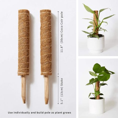 Tuteur en mousse pour plantes d'intérieur - Support empilable - Favorise la croissance verticale - Idéal pour Monstera, Pothos et Plante à monnaie - Aide à la grimpante - Pour les passionnés de plante (1/5)