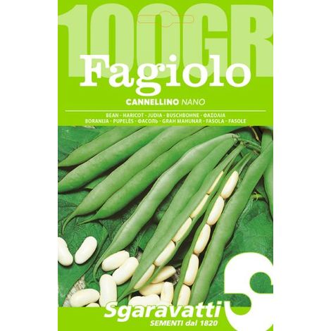 Semi per Fagioli Fagiolo Nano Cannellino Sgaravatti 5 Pezzi 100 gr