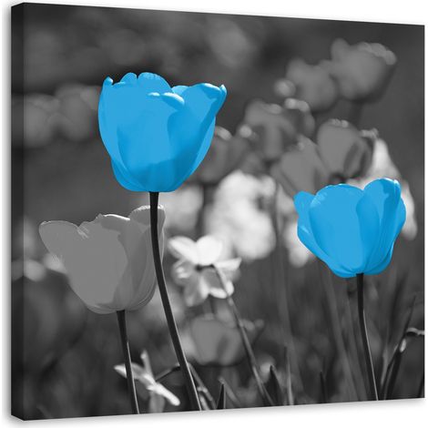Tableau sur toile Fleurs de tulipes Nature Bleu 40x40 (1/5)