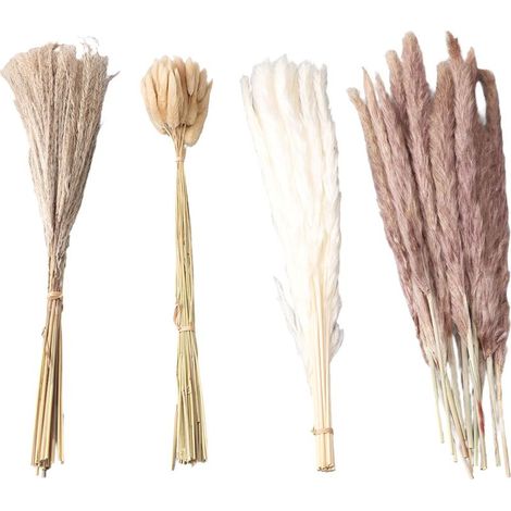 Herbe de Pampa Séchée Naturelle - 15 Brins Blancs, 15 Brins Bruns, 50 Brins Queue de Lapin, 20 Brins Roseau pour Décoration Mariage et Maison (1/5)