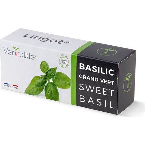 Veritable Lingot Basilic Grand Vert recharge potager intérieur (1/5)