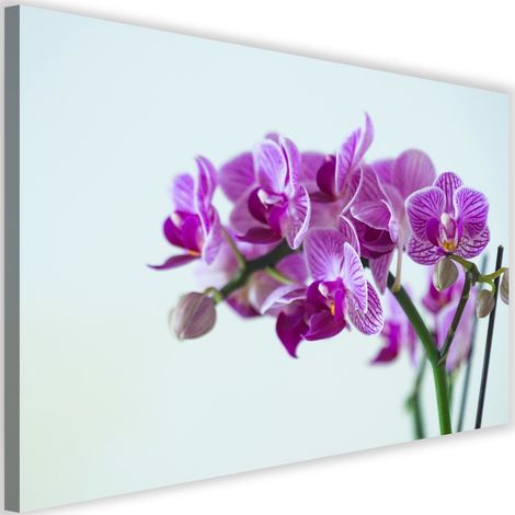 Tableau décoratif Orchidées roses 60x40 (1/5)