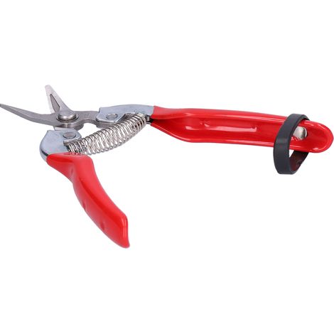 Ciseaux de jardinage pour coupe de fleurs et fruits, sécateur de branche d'arbuste, taille des plantes, outil de jardin manuel, paire de 1, acier inoxydable, usage extérieur (1/5)