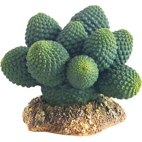 Hobby 37018 - Cactus Atacamma, altezza 7 cm (1/4)