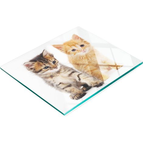 Tabla decorativa de cristal para servir aperitivos con forma de gato, 60x52 cm (1/5)