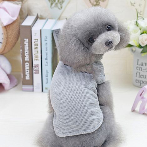 2 T-shirts d'été pour animaux de compagnie, débardeurs sans manches en coton, pour chiens et chats de petite à moyenne taille (1/5)
