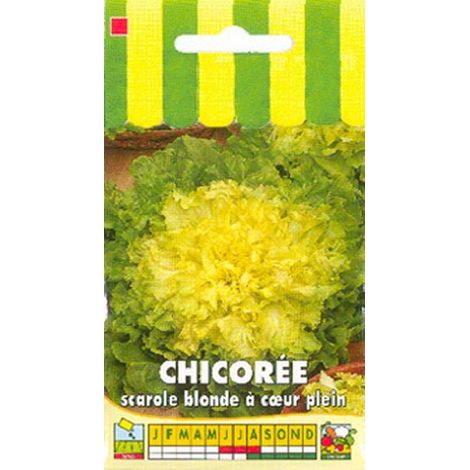 Chicorée scarole blonde à coeur plein - 3g