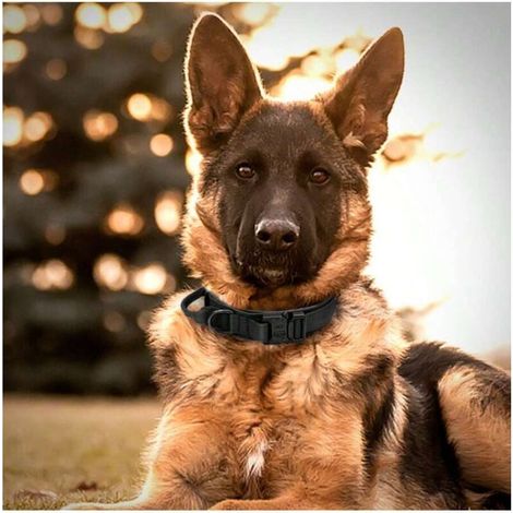 Collier tactique pour chien avec poignée de contrôle et collier à boucle en métal, réglable pour chiens de toutes tailles et chiens de travail spéciaux (L)