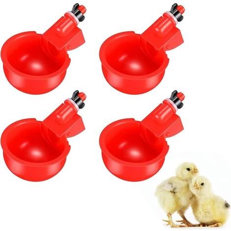 Abreuvoir Automatique Volaille pour Poules Canards Oies Dinde Caille (1/4)