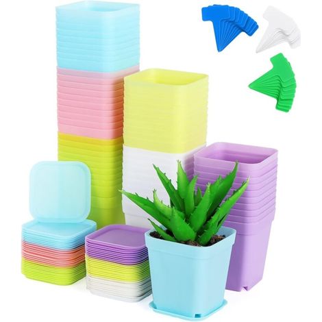 60 quadratische Plastiktöpfe für Sämlinge, Indoor-Töpfe mit Untersetzern und Etiketten für Sukkulenten, Tiger Tail, Aloe Vera (verschiedene Farben)