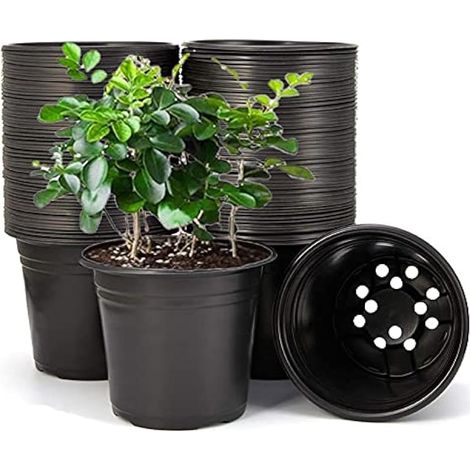 50 pièces Pots en plastique 15 cm pour plantes, légers pour semis, pots de pépinière, conteneur pour fleurs (15 x 13 cm, Noir)