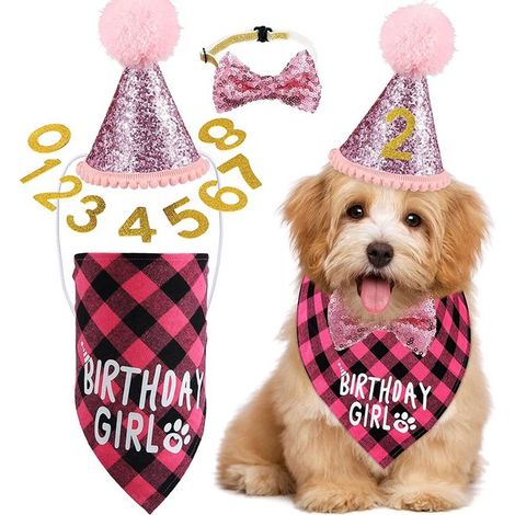 Artículos para fiestas caninas: incluye pañuelos con forma de pastel para niños y niñas，medianas y pequeñas. Color azul (1/5)