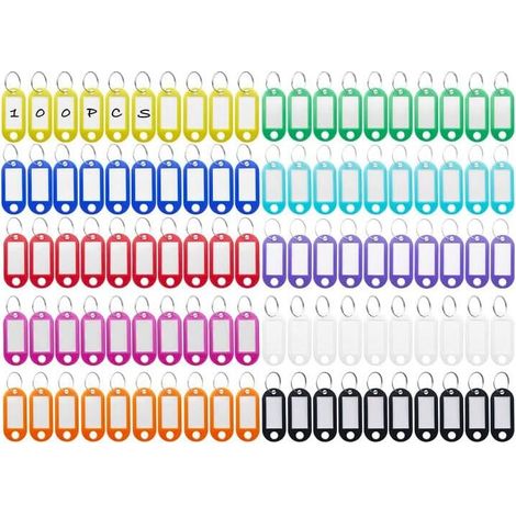 100 Pièces Porte-Clés, Étiquettes de Clé en Plastique, Inscriptibles Porte Clef Couleur en 10 Couleurs, en étiquettes d'identification avec Porte-Clé, pour Clefs, Bagages ou bureau (1/4)