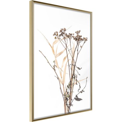 Affiche Murale Encadrée "Diary of a Herbalist" 21 x 30 cm Or