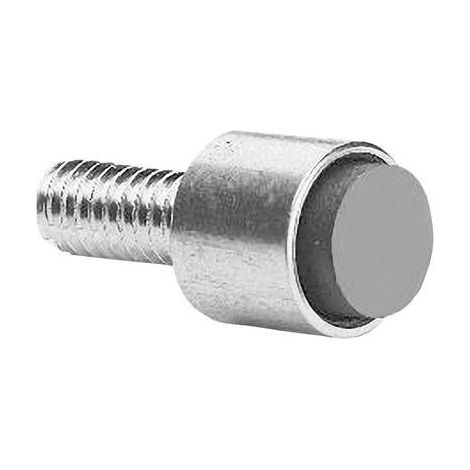 ZF AS101001 Magnete per contatto reed