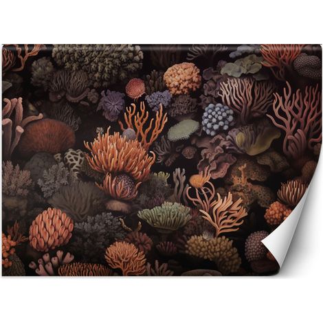 Papier peint Coraux AI 400x280 (1/5)