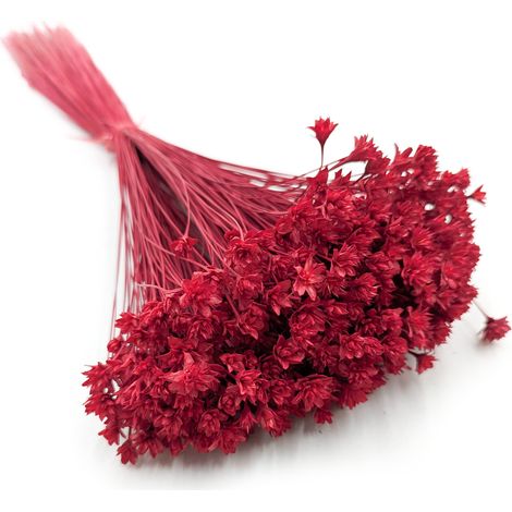 Flor de la colina - Czerwony