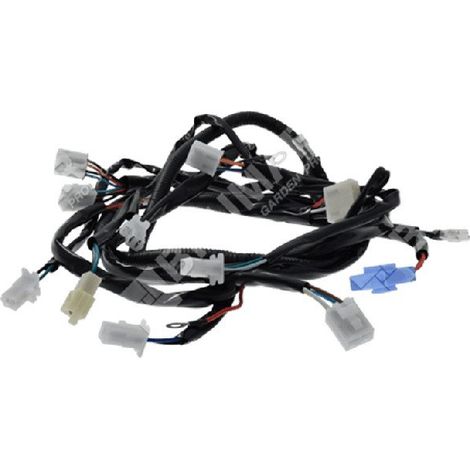 Conjunto de tractor eléctrico COMPATIBLE MAORI MP1698LM - 026644