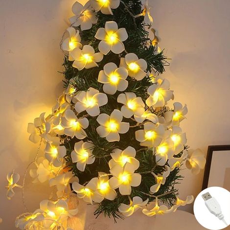 5Guirlande Lumineuse en Fleurs Frangipanier Artificielles 1,5m - 10 LED, USB,Lumière Chaude pour Décoration Chambre, Balcon, Jardin (1/5)