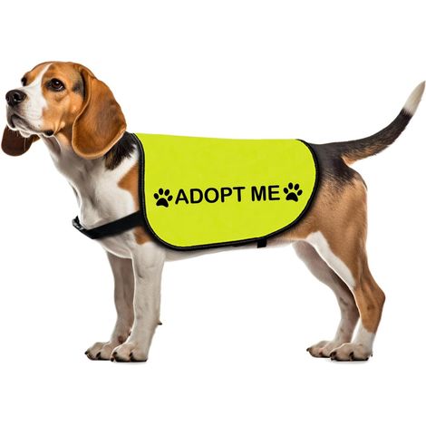 Veste pour chien de sauvetage - Gilet avec slogan pour chien adopté (1/5)