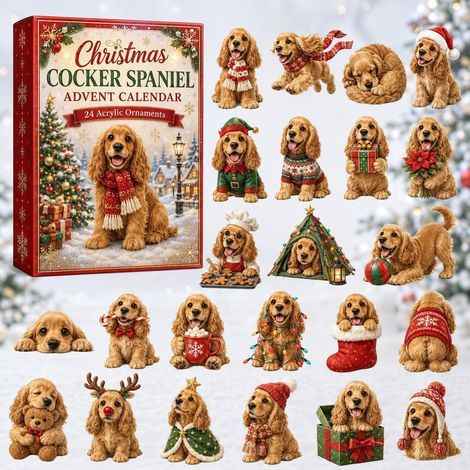 Cocker de Noël calendrier avent 2026 2D boîte surprise