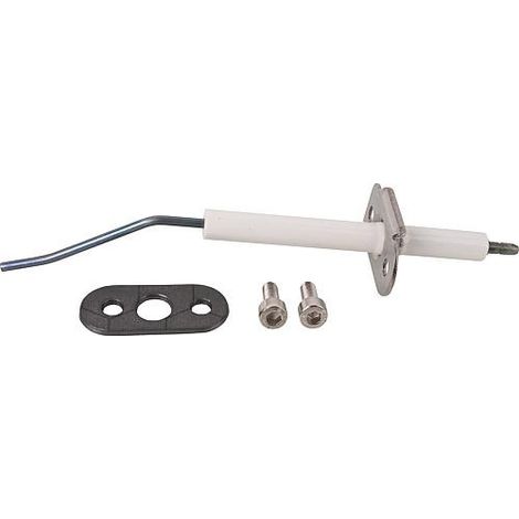 Electrode d'ionisation convient pour Vitodens a partir de 2003