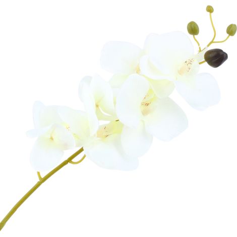 Phalaenopsis artificielle en forme de papillon (1/5)