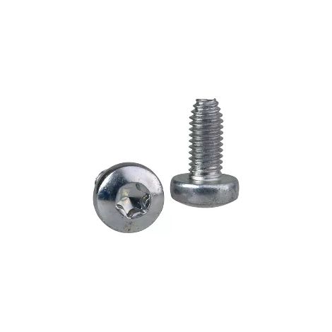 Schneider NSYST30M6S Vis (x100) torx autotar T30 ( M6X14)